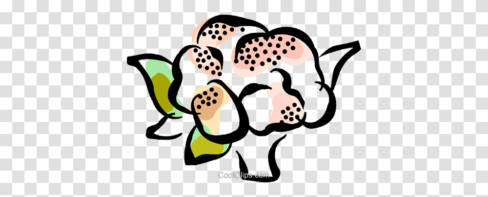Cauliflower Royalty Free Vector Clip Art Illustration, Giant Panda, Texture, Bird, Polka Dot Transparent Png
