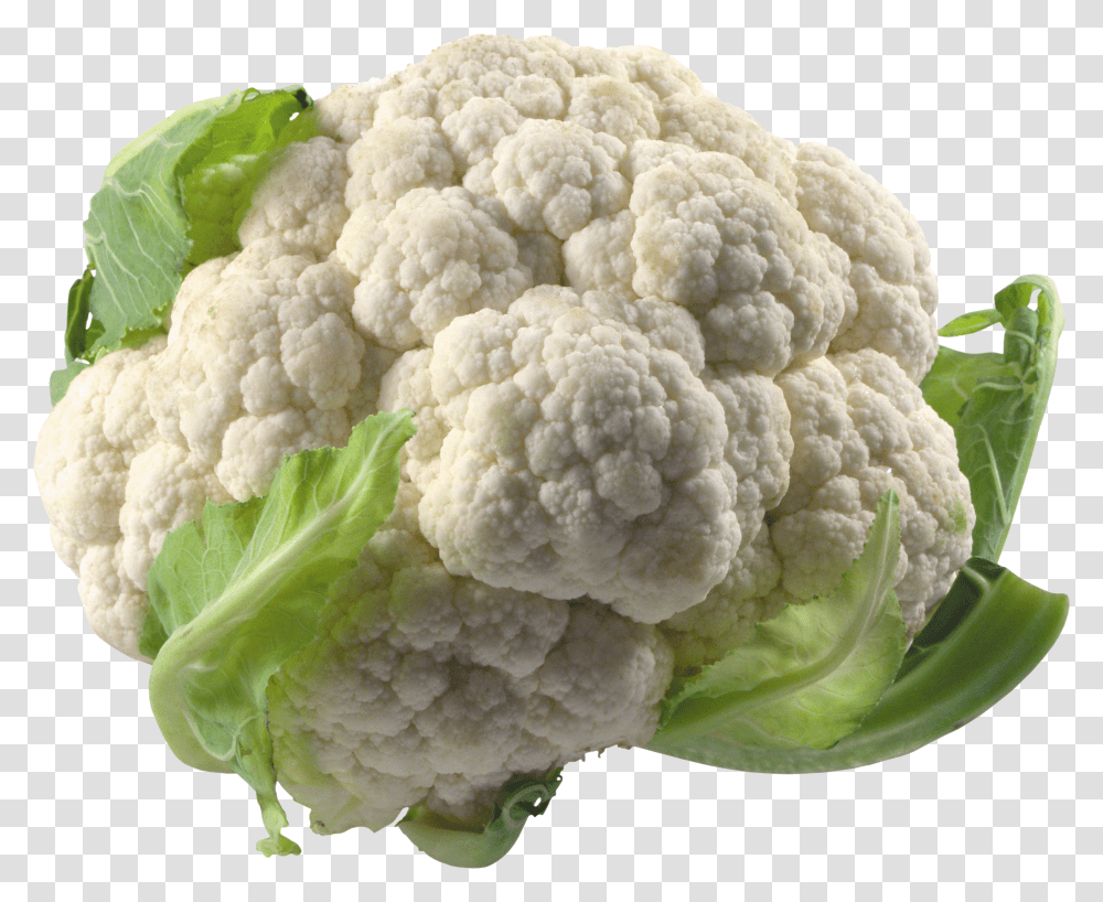 Cauliflower Transparent Png