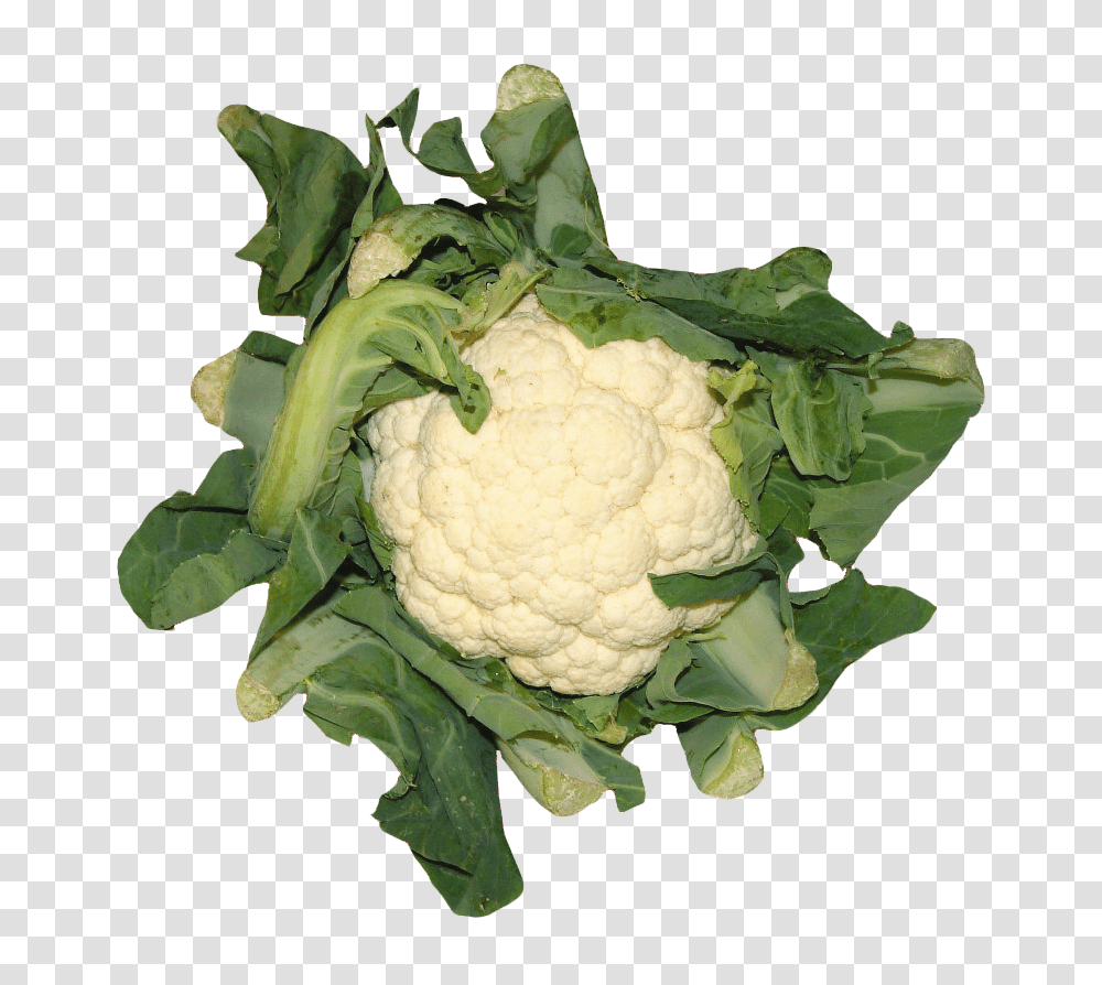 Cauliflower, Vegetable, Plant, Food, Rose Transparent Png