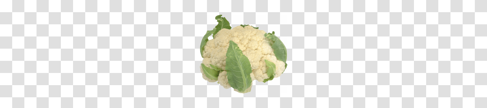 Cauliflower, Vegetable, Plant, Food Transparent Png