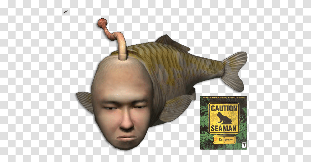 Caution Seaman Dreamcast Sega Video Game Fish, Head, Person, Face, Animal Transparent Png