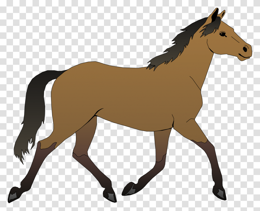 Cavalo Brown Garanho Pura Gua Equino Trote Horse Clipart, Colt Horse, Mammal, Animal, Foal Transparent Png