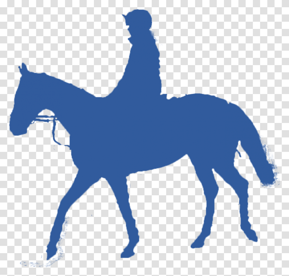 Cavalo Cavalgada, Animal, Mammal, Horse, Foal Transparent Png
