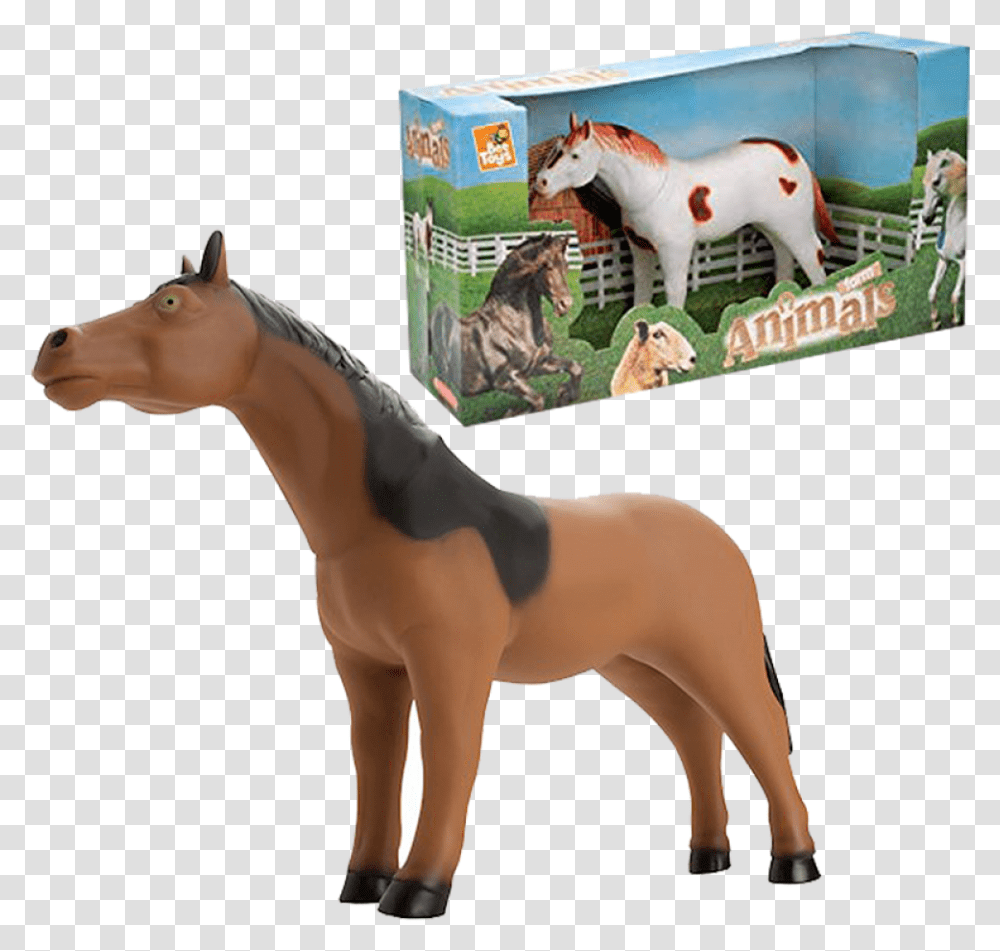 Cavalo Cavalo Bee Toys, Colt Horse, Mammal, Animal, Person Transparent Png