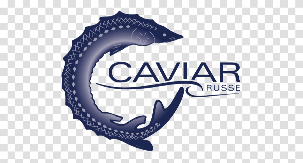 Caviar Logos, Sea Life, Animal, Seafood Transparent Png