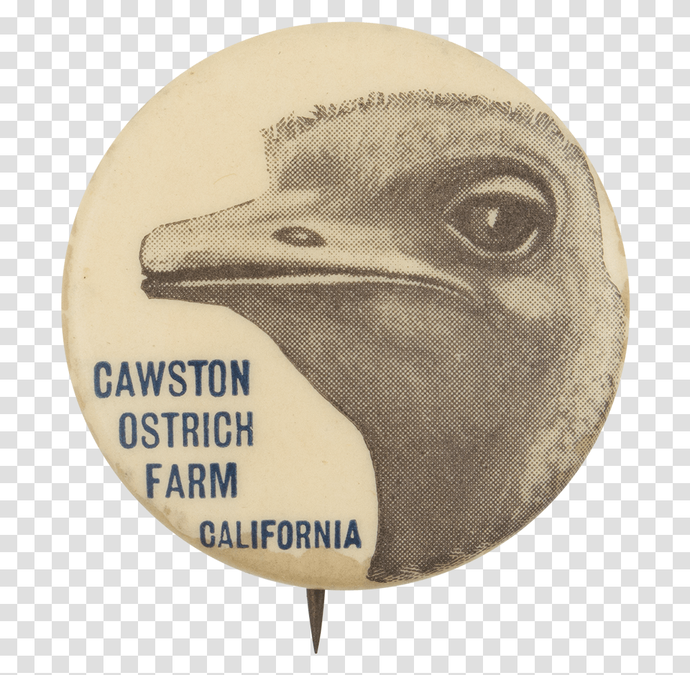 Cawston Ostrich Farm Event Button Museum Bald Eagle, Logo, Trademark, Animal Transparent Png