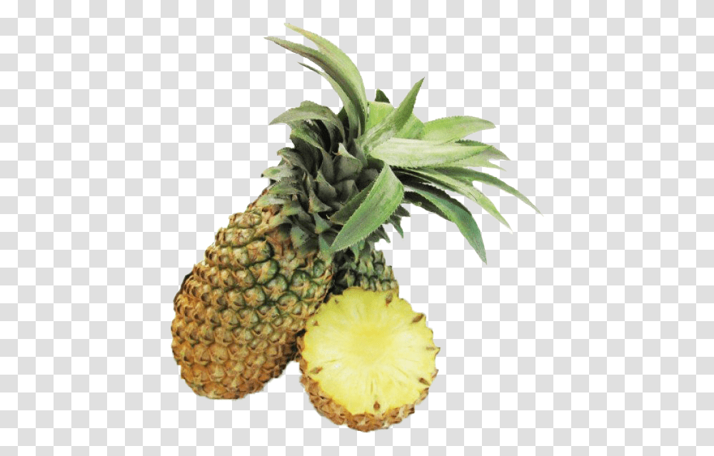 Cayenne Pineapple Photo Pineapple, Plant, Fruit, Food Transparent Png