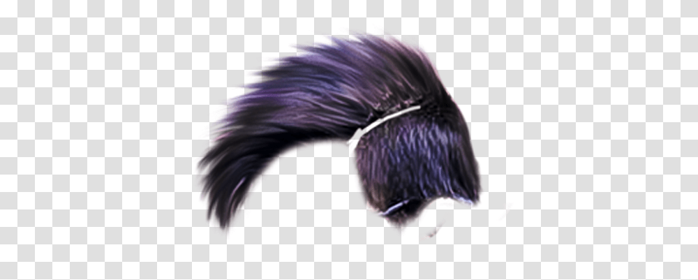 Cb Editing Hair Edit Hair, Insect, Invertebrate, Animal, Person Transparent Png