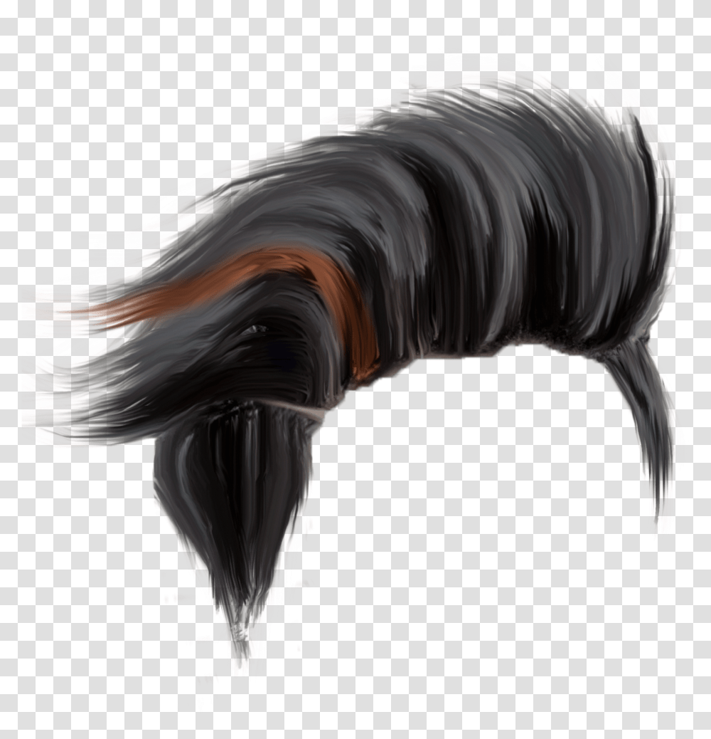 Cb Hair Download, Bird, Animal, Mammal, Nature Transparent Png