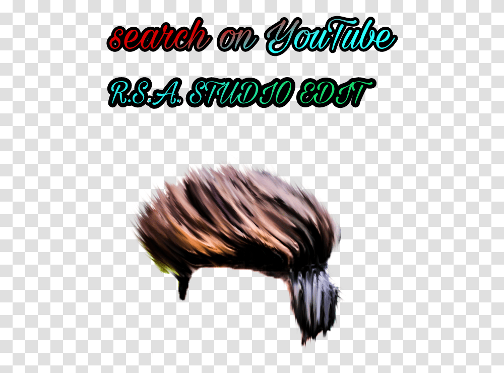 Cb Hair Download, Bird, Animal, Sea Life, Nature Transparent Png