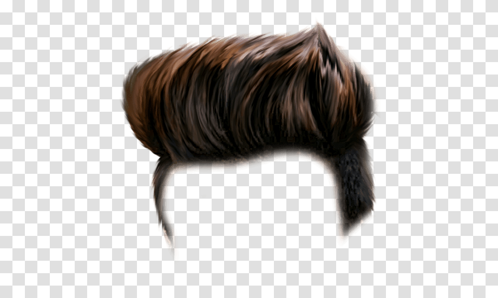 Cb Hair Download Free For Photo Editing Latest Hair Hd, Mammal, Animal, Bull, Person Transparent Png