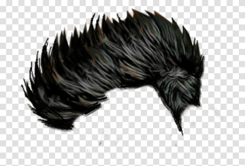 Cb Hair Download Men Side Hair, Chicken, Poultry, Fowl, Bird Transparent Png