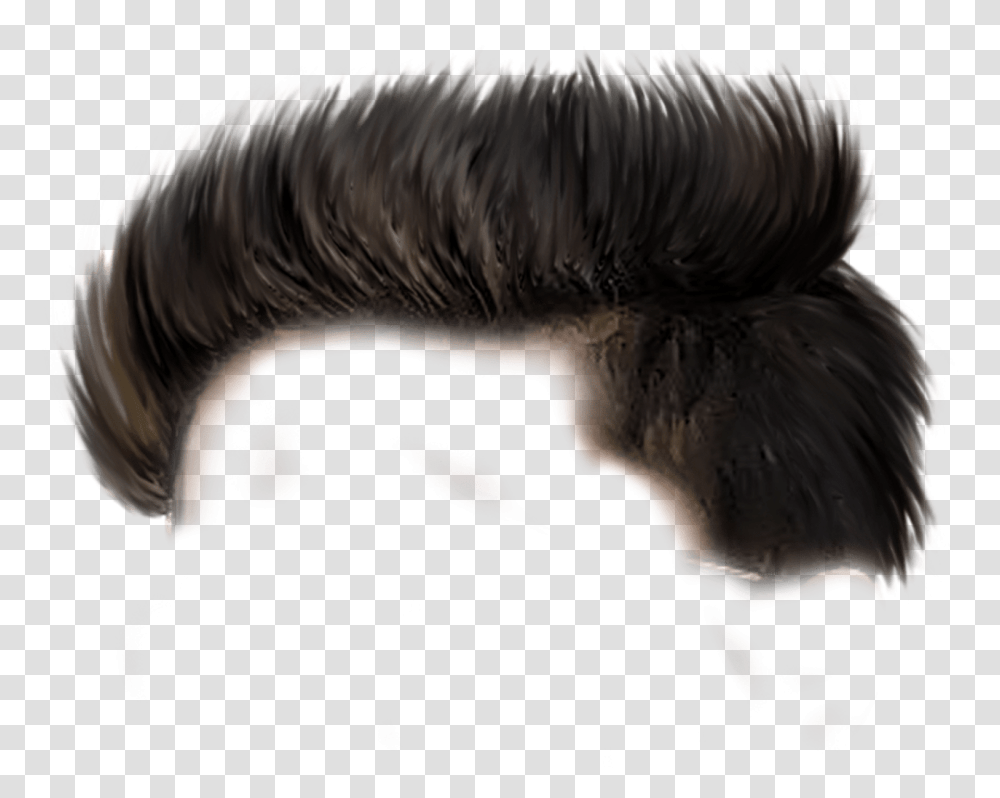 Cb Hair For Picsart Boys Hair Boy Hair For Picsart, Person, Nature, Animal, Outdoors Transparent Png