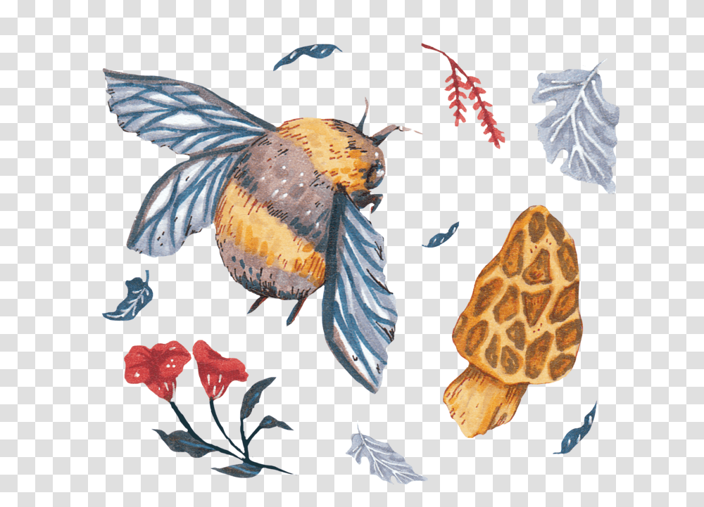 Cb Project Acorn Perching Bird, Plant, Animal, Turtle, Insect Transparent Png