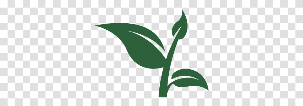 Cb Vertical, Plant, Leaf, Flower, Blossom Transparent Png