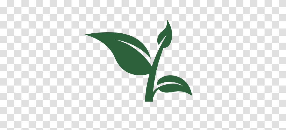 Cb Website Sprout Icon, Plant, Leaf, Green Transparent Png