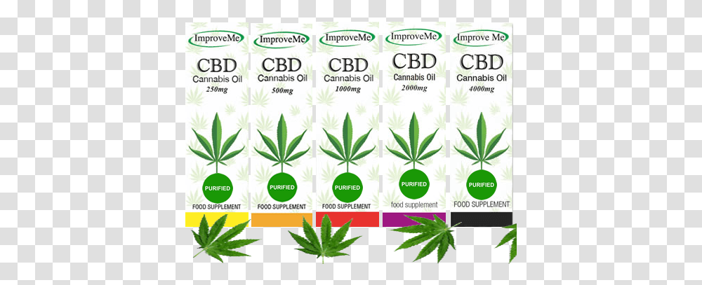 Cbd Oil Purified Cannabis Oil, Plant, Weed, Flyer, Poster Transparent Png