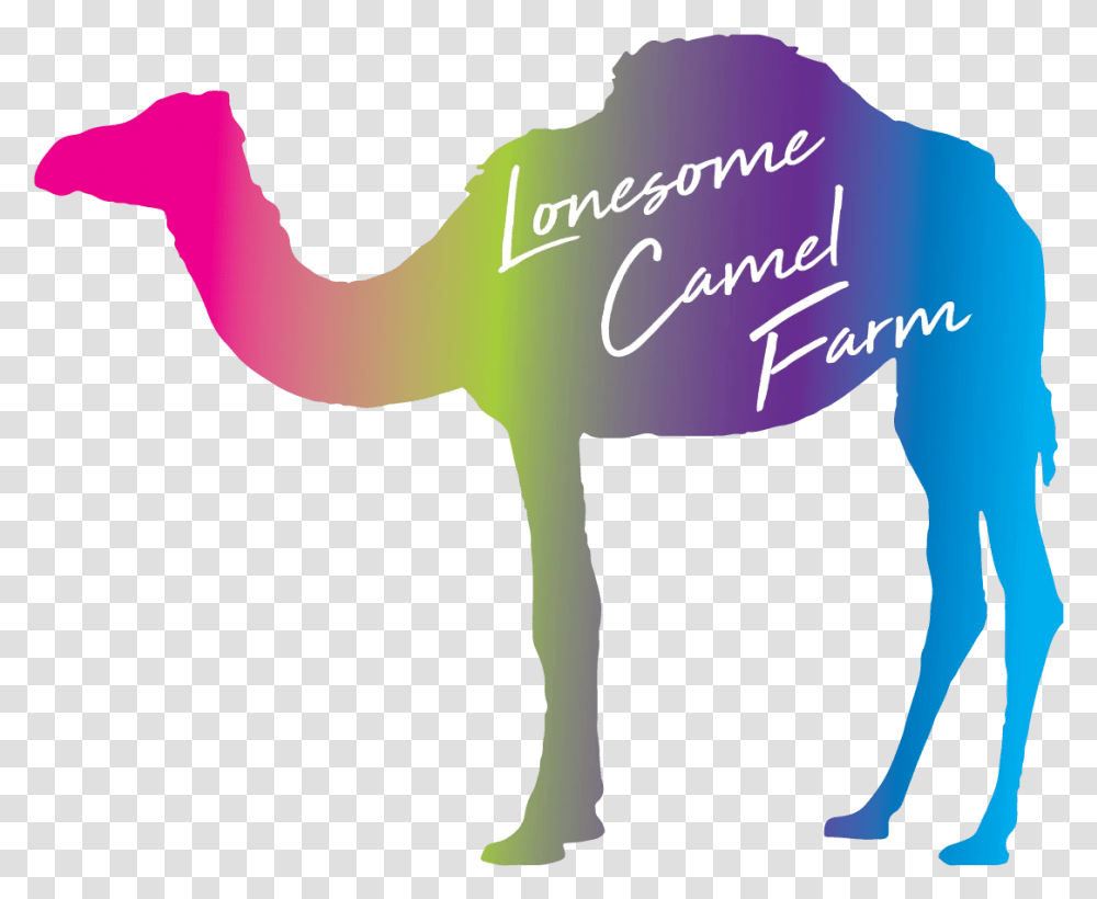 Cbd Smokeable Flower Camel Clipart, Animal, Mammal, Person, Human Transparent Png