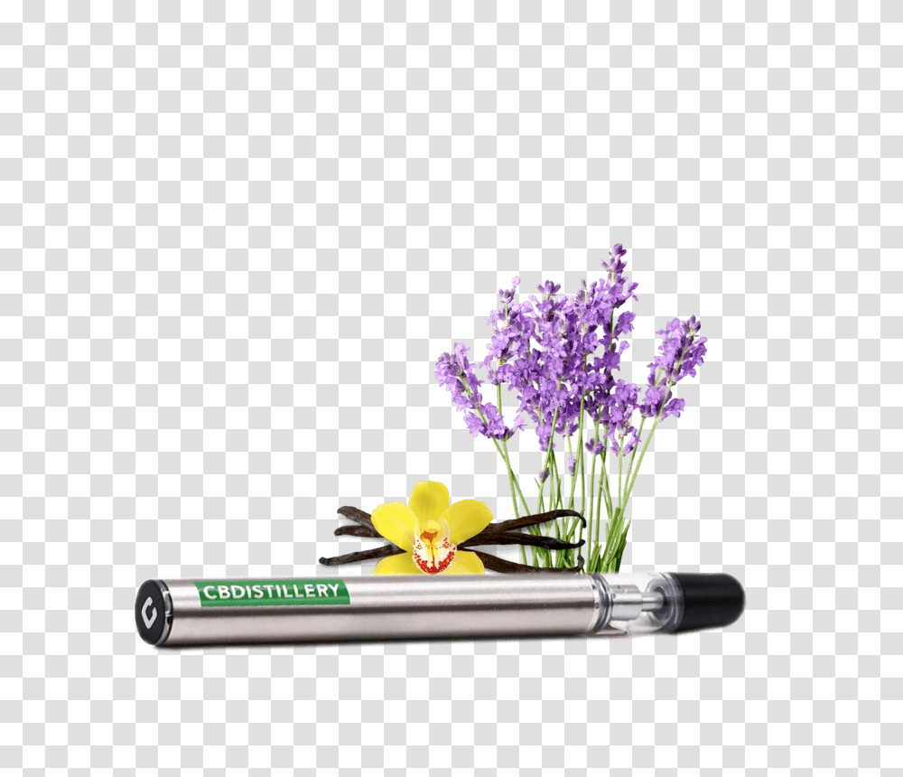 Cbd Vape Pen, Plant, Flower, Blossom, Flower Arrangement Transparent Png