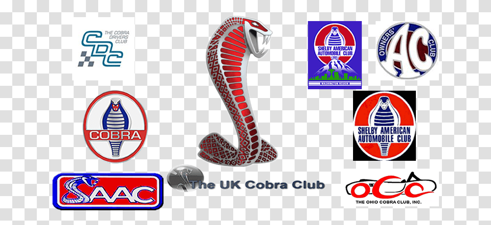Cc Cover Logo Ac Cobra, Snake, Reptile, Animal, Flyer Transparent Png
