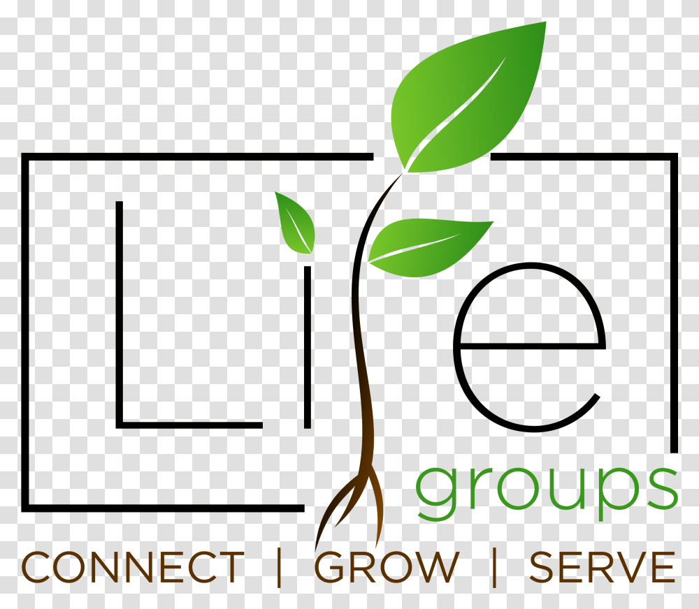 Ccc Information Services, Green, Leaf, Plant, Sprout Transparent Png