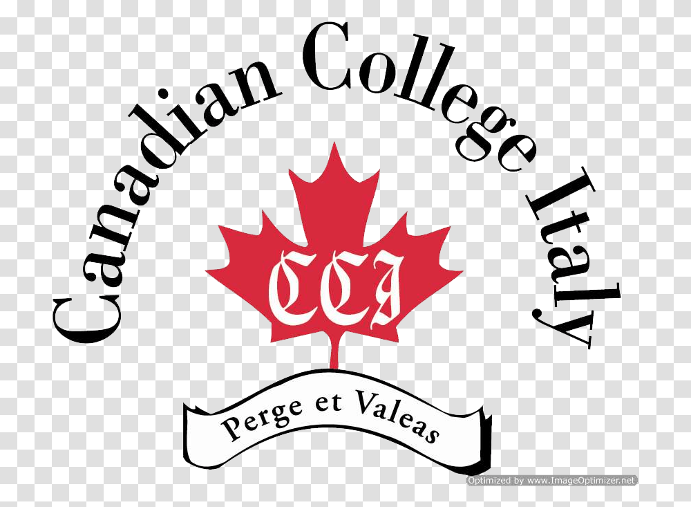 Cci Canadian College Italy Logo Emblem, Leaf, Plant, Trademark Transparent Png