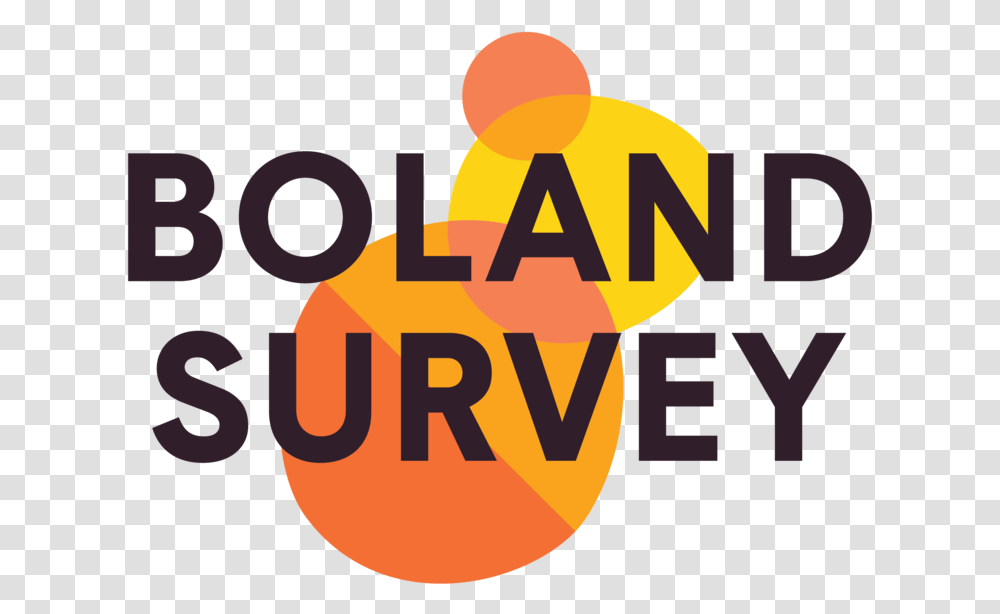 Ccvo Boland Survey Combination Mark Nonprofit Organization, Word, Dynamite, Alphabet Transparent Png