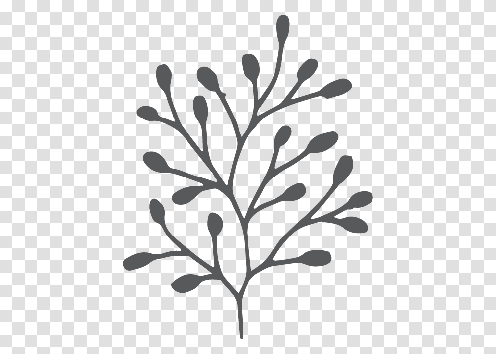Cd Kakadu Plum Twig, Stencil, Pineapple, Fruit, Plant Transparent Png
