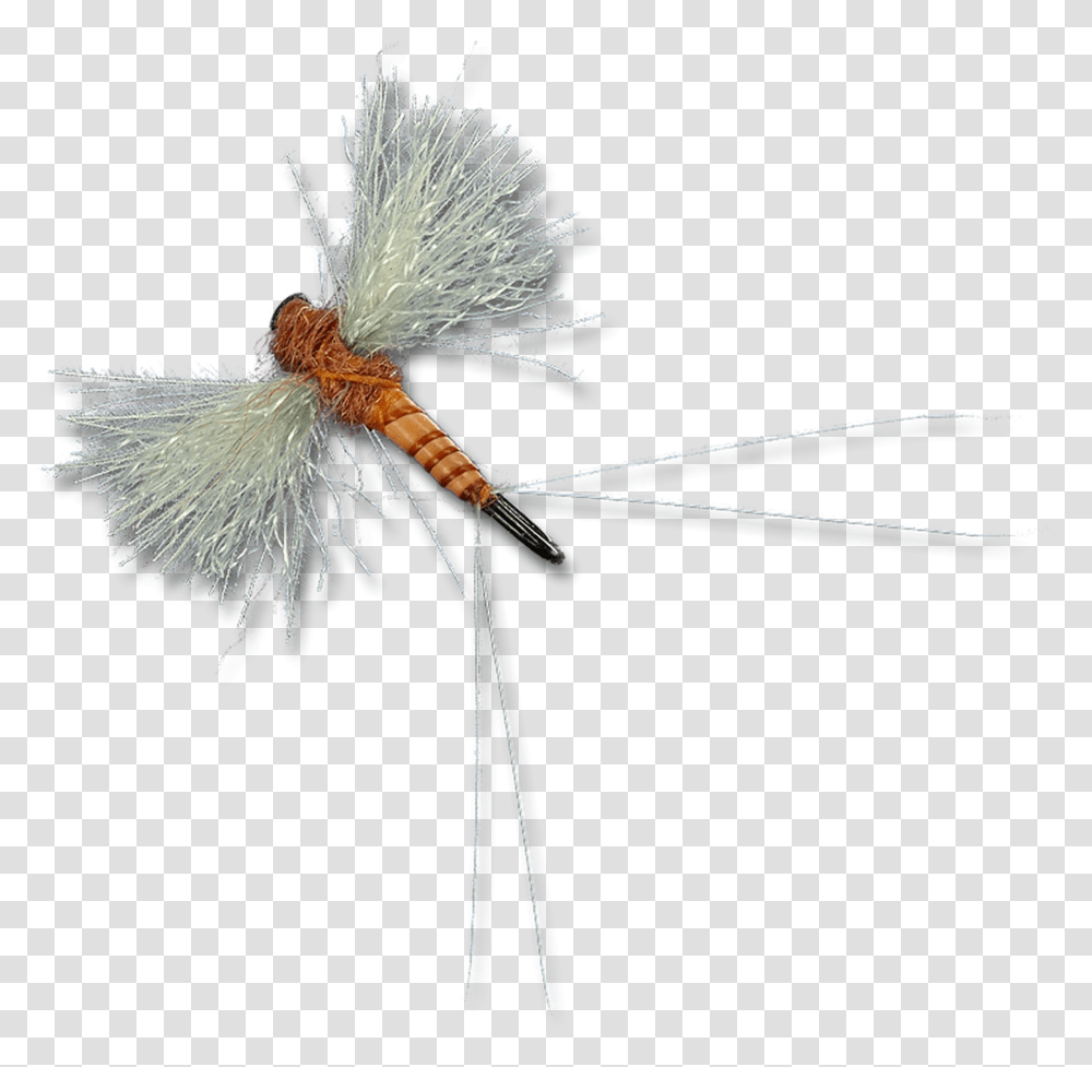Cdc Biot Spinners Dragonfly, Animal, Bow, Invertebrate, Insect Transparent Png