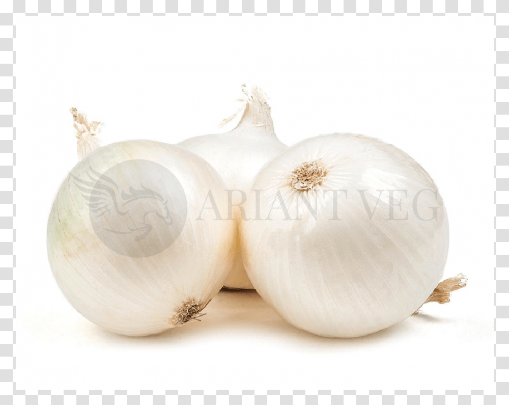 Cebolla Blanca Y Roja, Plant, Vegetable, Food, Onion Transparent Png