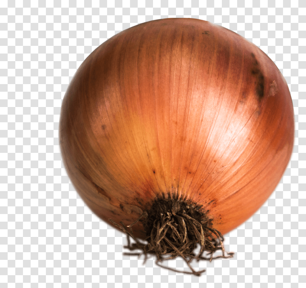 Cebolla Yellow Onion, Plant, Shallot, Vegetable, Food Transparent Png