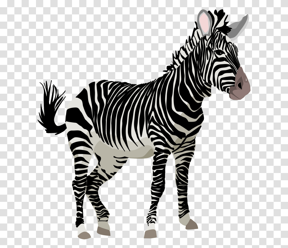 Cebra, Animals, Zebra, Wildlife, Mammal Transparent Png