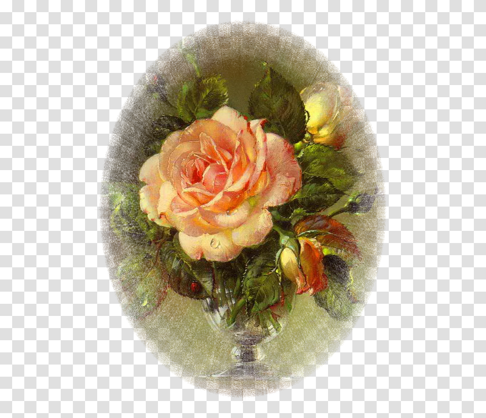 Cecil Kennedy Paintings, Rose, Flower, Plant Transparent Png