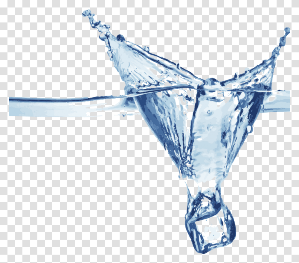 Cecube Water Splash Ice Cube, Bird, Animal, Glass, Beverage Transparent Png