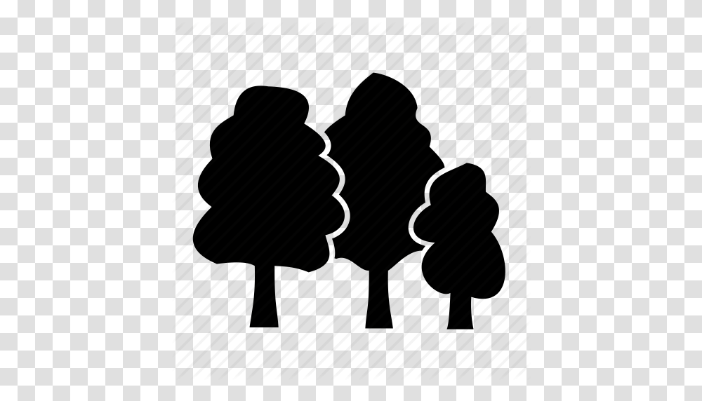 Cedar Elm Trees Forest Oaks Park Spruce Woods Icon, Piano, Silhouette, Sweets, Food Transparent Png