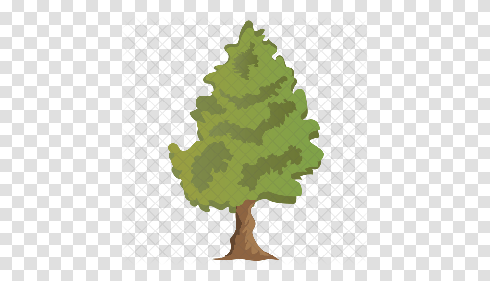 Cedar Tree Icon Of Flat Style Christmas Tree, Plant, Grass, Conifer, Oak Transparent Png