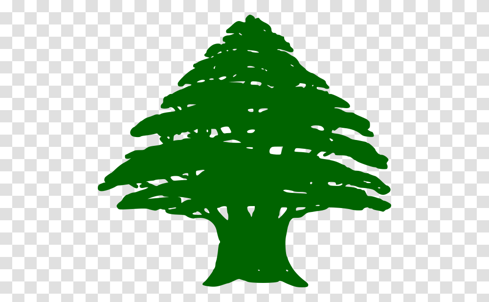 Cedar Tree Lebanon Flag, Plant, Vegetation, Outdoors, Leaf Transparent Png