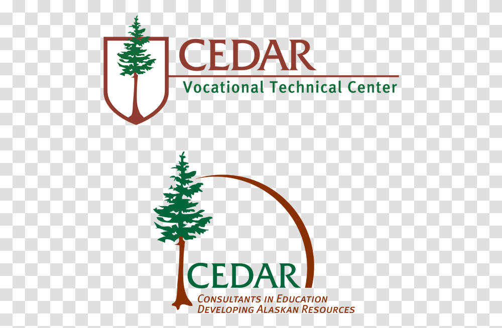 Cedar Vocational Training Centre Dotdesign Christmas Tree, Plant, Fir, Abies, Text Transparent Png