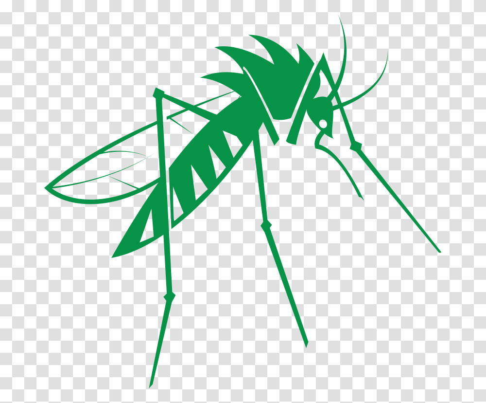 Cedarcide, Bow, Insect, Invertebrate, Animal Transparent Png