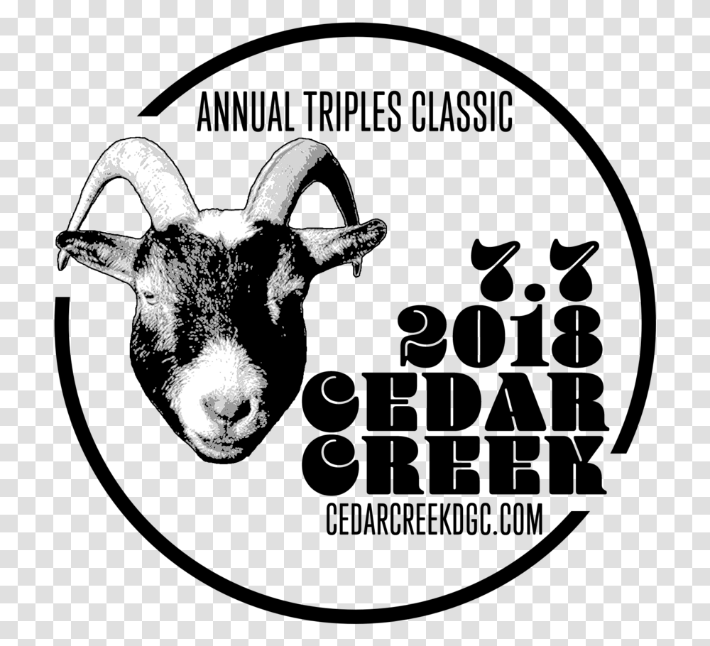 Cedarcreek Triples 2018 Discart Goat, Mammal, Animal, Sheep, Mountain Goat Transparent Png
