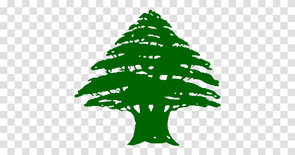 Cedars Of Lebanon Flag, Plant, Tree, Fir, Abies Transparent Png
