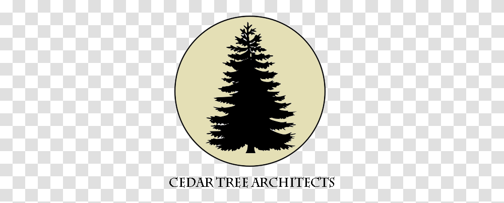 Ceder Tree Architects Vector Pine Tree, Plant, Label, Text, Fir Transparent Png