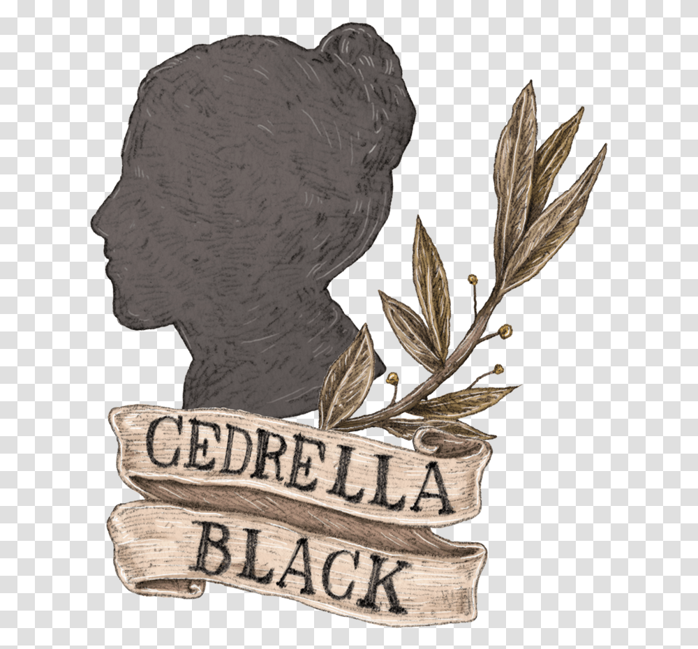 Cedrella Black Cedrella Black Harry Potter, Animal Transparent Png