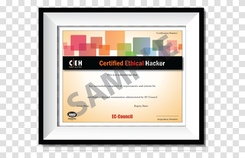 Ceh Certification, Paper, Diploma, Document Transparent Png