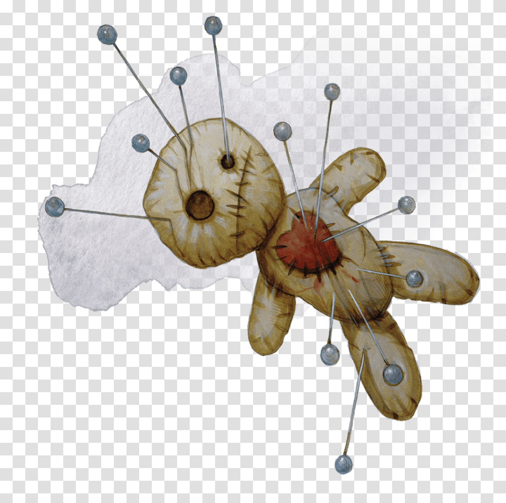 Ceiling Download Ceiling, Animal, Invertebrate, Insect, Plant Transparent Png