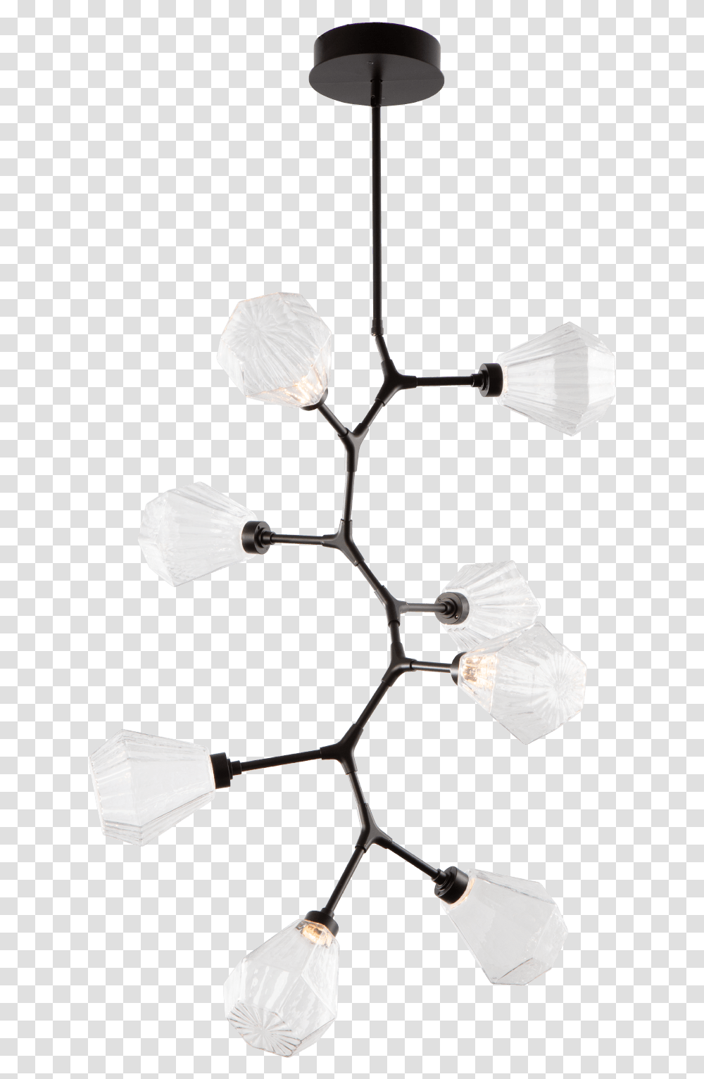Ceiling Fixture, Lamp, Oars, Lute, Musical Instrument Transparent Png
