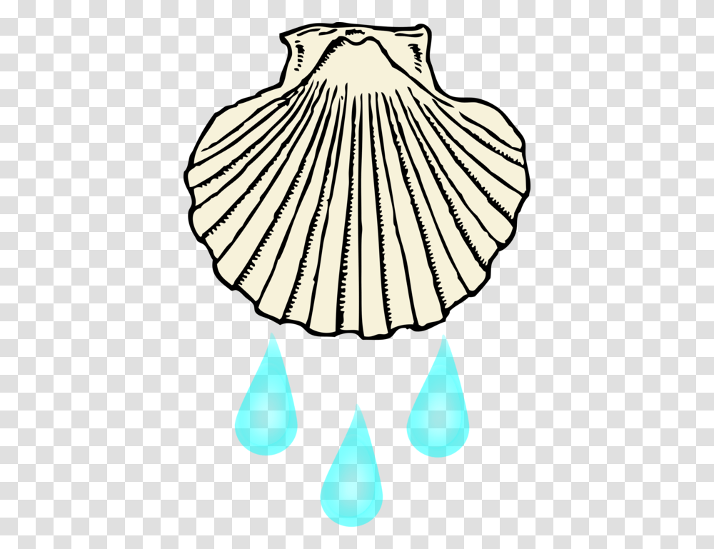 Ceiling Fixturelinebaptism Shell Black And White Clipart, Clam, Seashell, Invertebrate, Sea Life Transparent Png