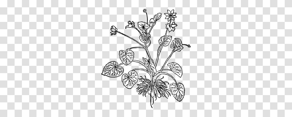 Celandine Nature, Gray, World Of Warcraft Transparent Png