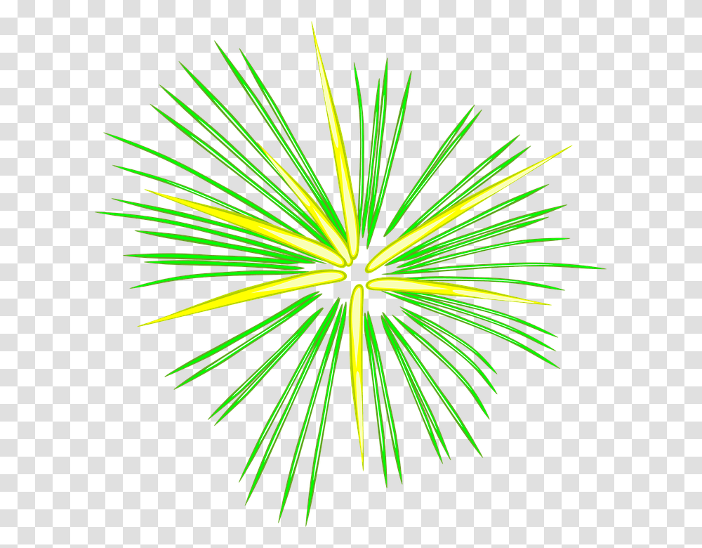Celebracin Fuegos Artificiales Verde Noche Animated Background Fireworks, Nature, Outdoors, Plant, Night Transparent Png