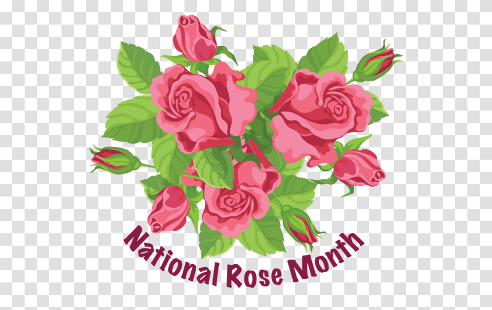Celebrate Americas Favorite Flower The Red Rose Misc Graphics, Floral Design, Pattern, Plant Transparent Png